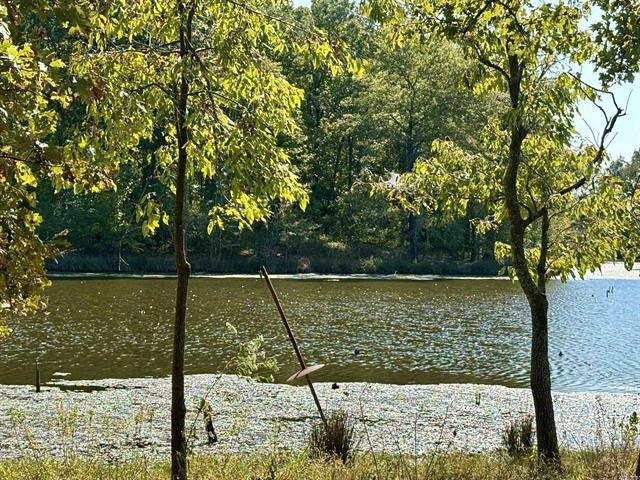 201 Morgan Loop Rd Rd, DeWitt, AR à vendre - Photo de l’immeuble – Image 3 sur 5