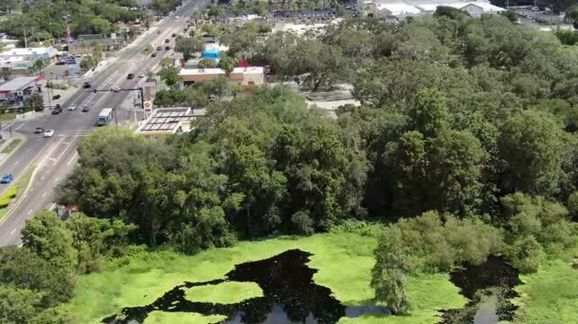 8447 N 56th St, Tampa, FL à vendre - Vidéo sur l’annonce professionnelle – Image 2 sur 17