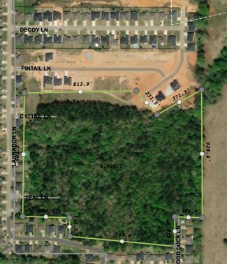 Plus de détails pour 100 Labrador Ln, Hallsville, TX - Terrain à vendre
