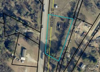 Plus de détails pour 0 Hwy 17, Royston, GA - Terrain à vendre