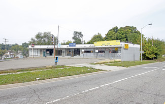 Plus de détails pour 731-745 N Perry St, Pontiac, MI - Local commercial à vendre