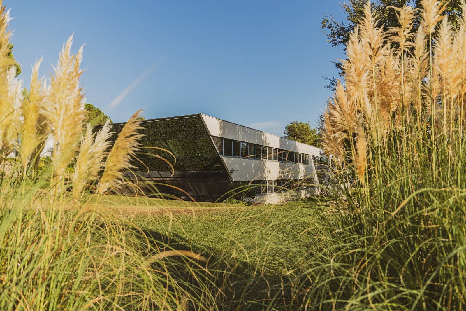 300 Rue Du Vallon, Valbonne à louer Photo de l’immeuble– Image 1 sur 7