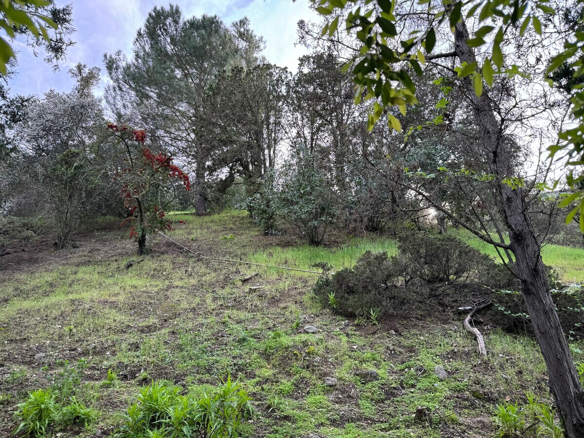 View Photo