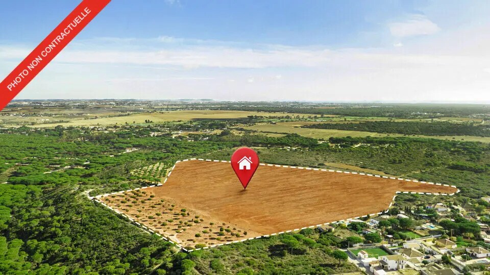 Local d'activités dans Perpignan à vendre - Aérien – Image 1 sur 3