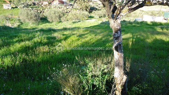 Terrain dans Sierra de Fuentes, Cáceres à vendre - Photo principale – Image 3 sur 4