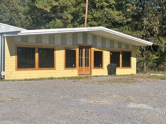 Plus de détails pour 379 Highway 43, Pelahatchie, MS - Local d’activités à vendre