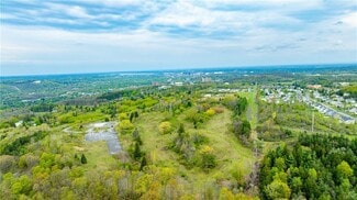 Plus de détails pour 4480 Lafayette Rd, Jamesville, NY - Terrain à vendre