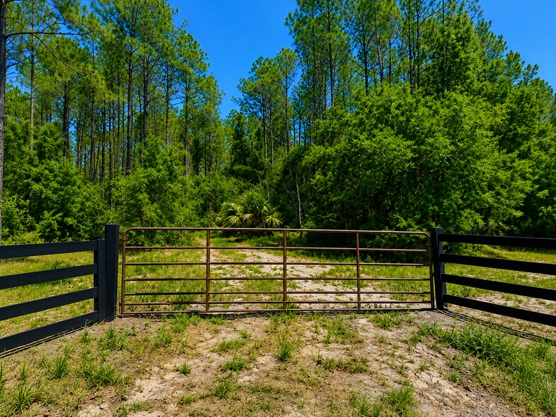 NE 353 Hwy, Cross City, FL à vendre - Autre – Image 2 sur 6