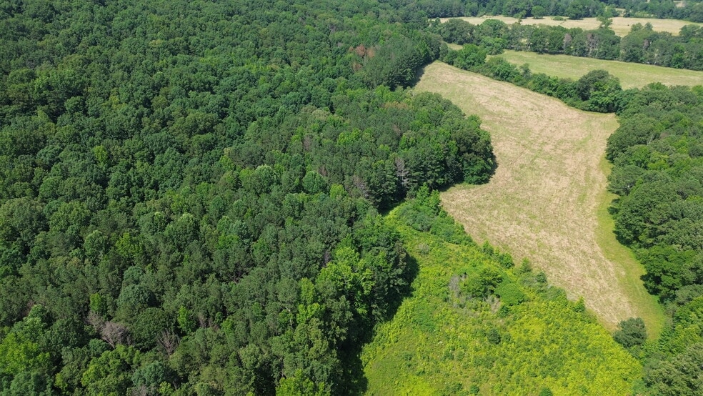 104 Kerrie Ln E, Boaz, AL à vendre - Aérien – Image 2 sur 7