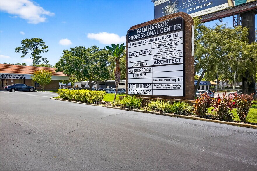 36310-36472 Us Hwy 19 N, Palm Harbor, FL à louer - Photo de l’immeuble – Image 2 sur 24