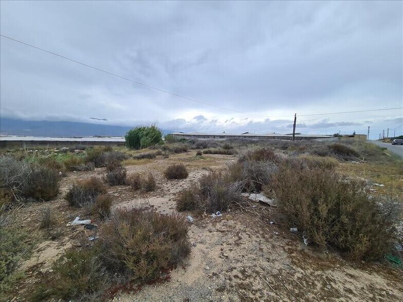 Terrain dans El Ejido, Almería à vendre - Photo principale – Image 1 sur 1