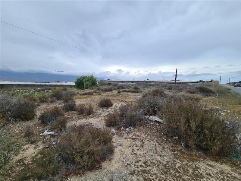 Terrain dans El Ejido, Almería à vendre Photo principale– Image 1 sur 2