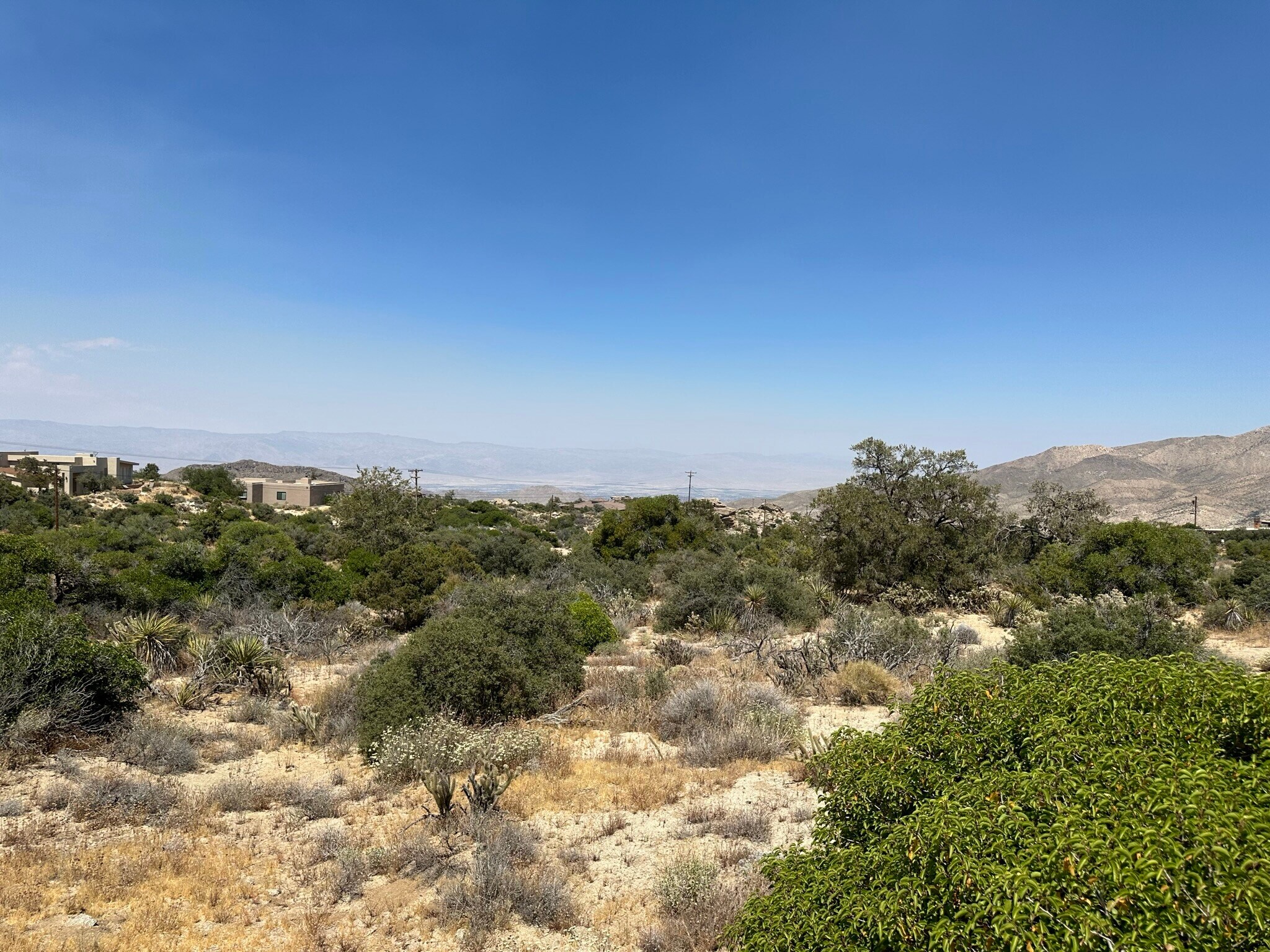 Manzanita Rd, Mountain Center, CA à vendre Autre– Image 1 sur 6