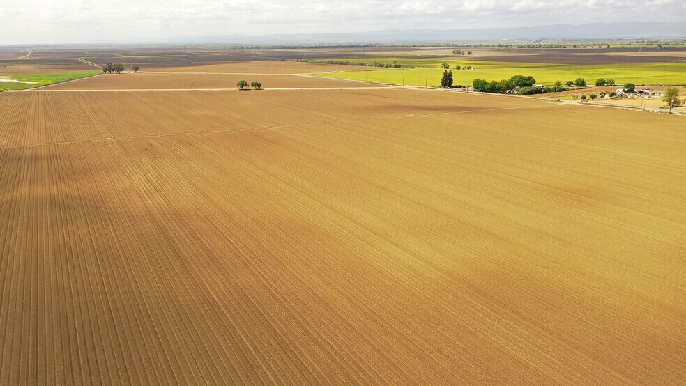 Wescott Rd., Colusa, CA à vendre - Aérien – Image 2 sur 5