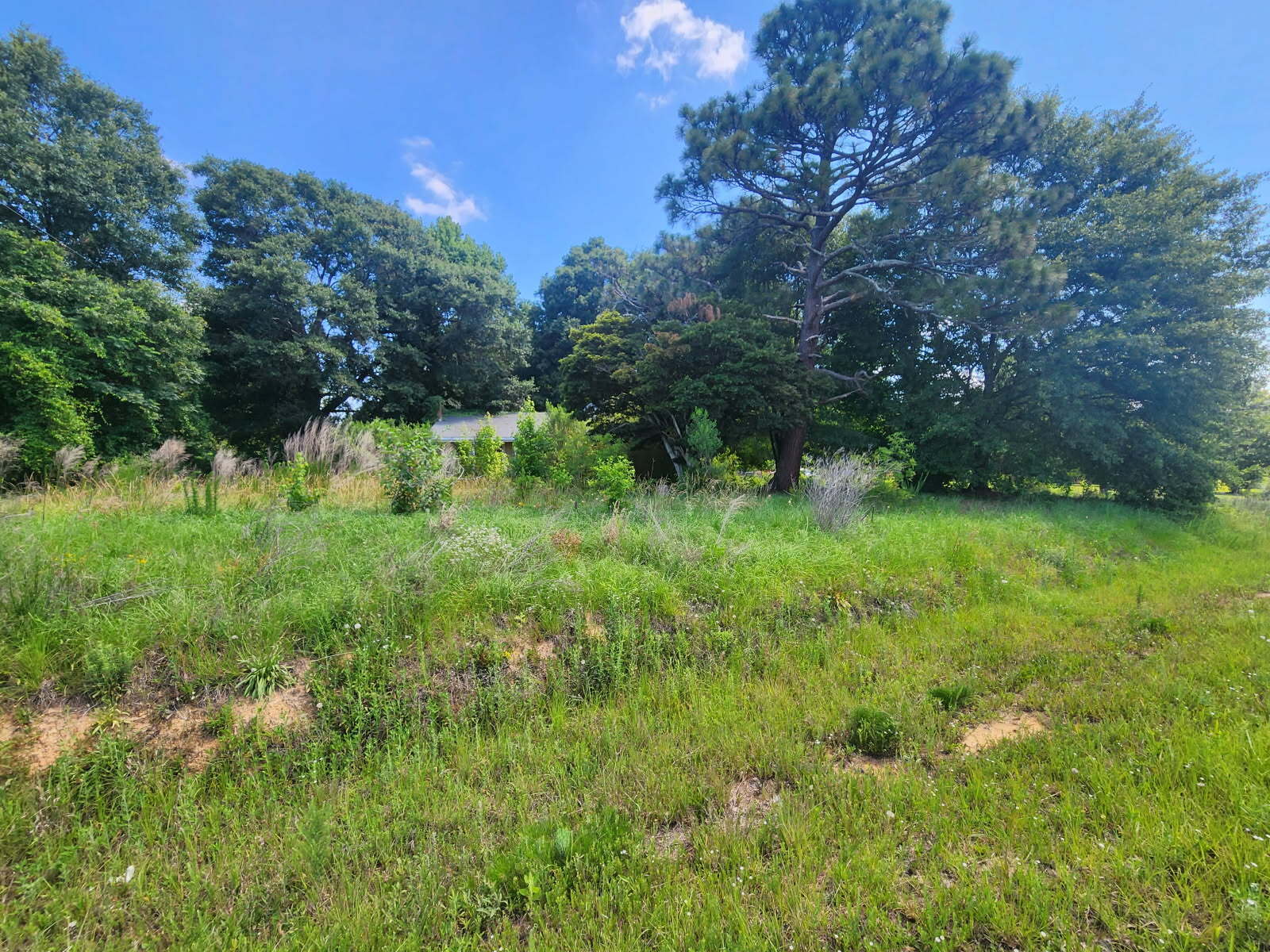 1950 Holbrook Rd, Fort Mill, SC à vendre Autre– Image 1 sur 14