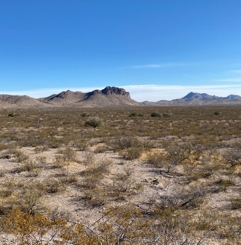 I-10, San Simon, AZ à vendre - Autre – Image 3 sur 6