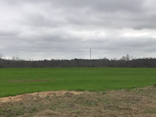 I-16 & Hwy 96, Jeffersonville, GA à vendre - Photo principale – Image 1 sur 2
