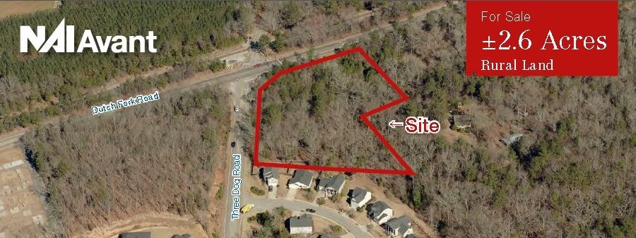 1301 Three Dog Rd, Chapin, SC à vendre - Aérien – Image 2 sur 4