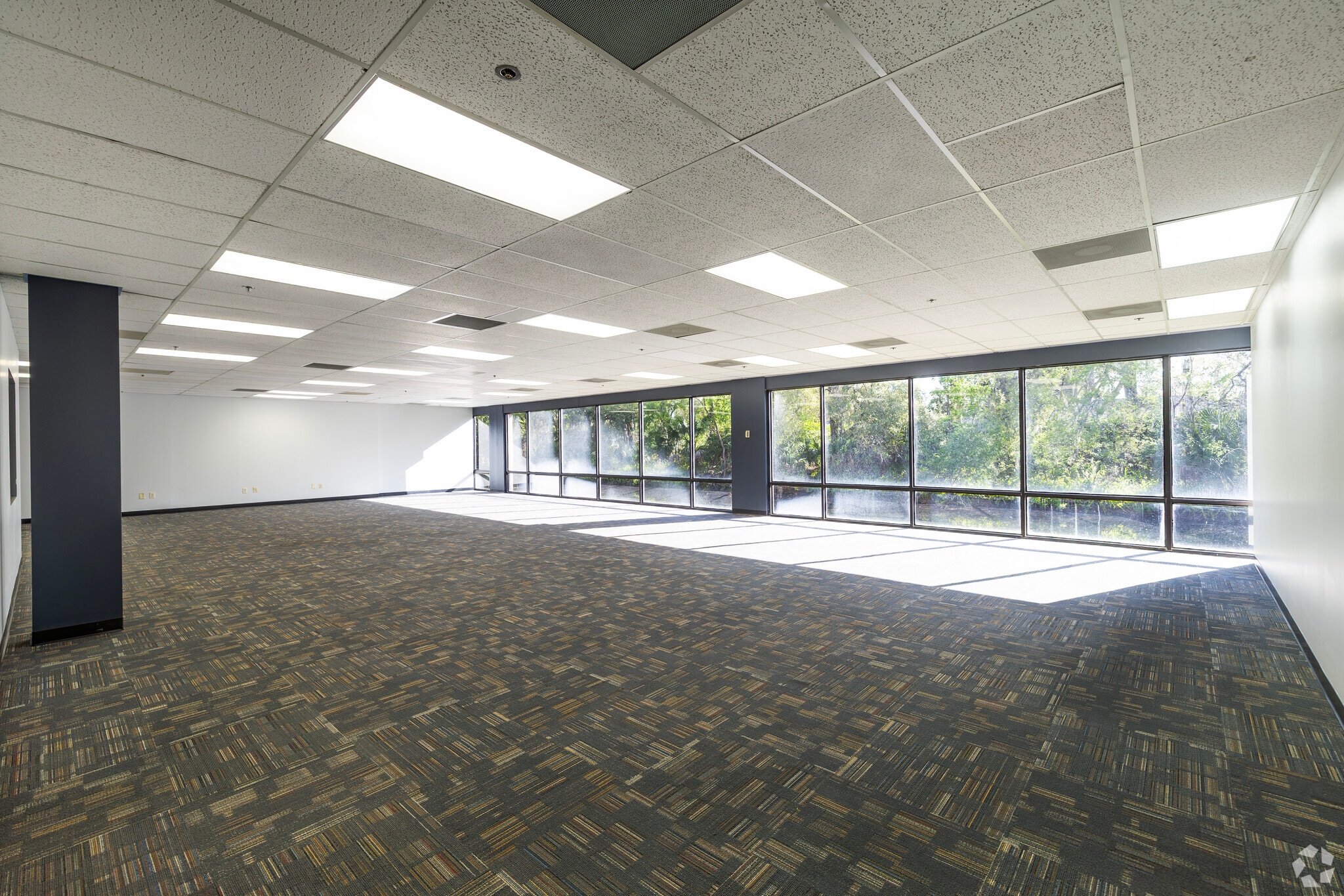 14497 N Dale Mabry Hwy, Tampa, FL à louer Photo intérieure– Image 1 sur 3