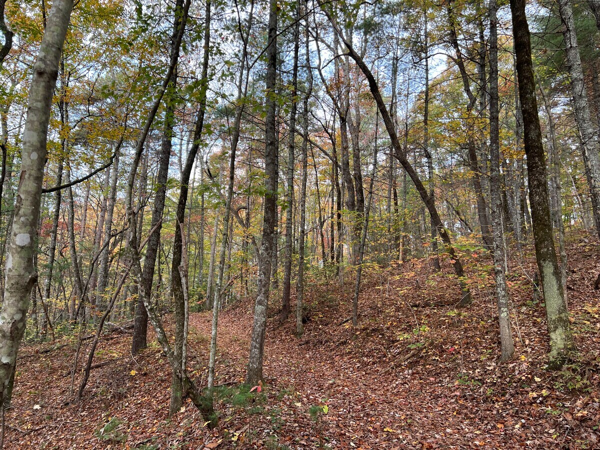 View Photo