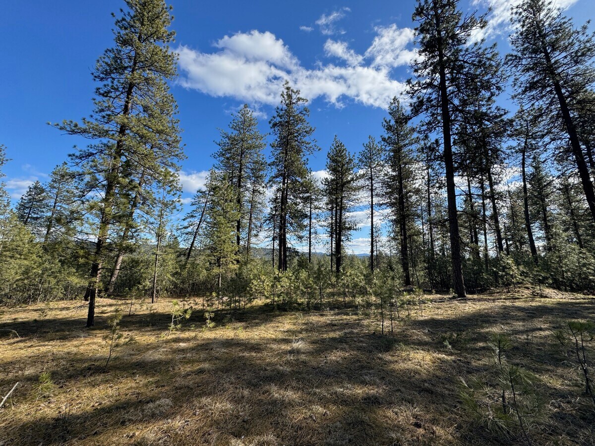 View Photo
