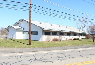 Plus de détails pour 4535 Vestal Rd, Vestal, NY - Local commercial à vendre