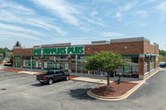 Plus de détails pour 270 N Bolingbrook Dr, Bolingbrook, IL - Local commercial à vendre