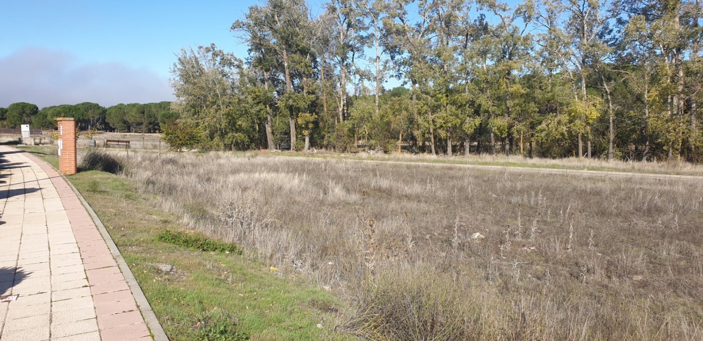 Terrain dans Aldeamayor de San Martín, Valladolid à vendre Photo principale– Image 1 sur 26