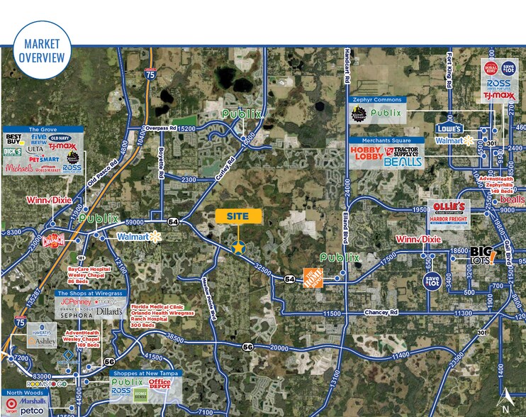31721 FL-54, Zephyrhills, FL à vendre - Photo de l’immeuble – Image 2 sur 2