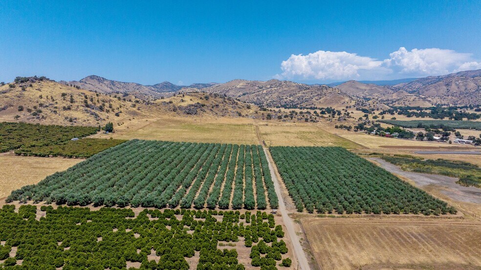 19400 Avenue 398, Woodlake, CA à vendre - Aérien – Image 2 sur 9