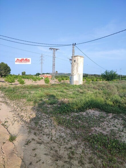 Terrain dans Dolores, Alicante à vendre - Photo de l’immeuble – Image 3 sur 22