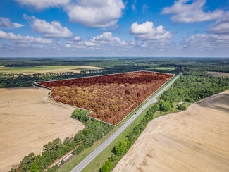 Plus de détails pour 13184 Memorial Blue Star Hwy, Quincy, FL - Terrain à vendre
