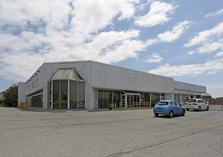 Plus de détails pour 1117 Finch Ave, Toronto, ON - Industriel/Logistique à louer