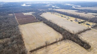 Plus de détails pour 19300 County 1370 E rd, Danville, IL - Terrain à vendre
