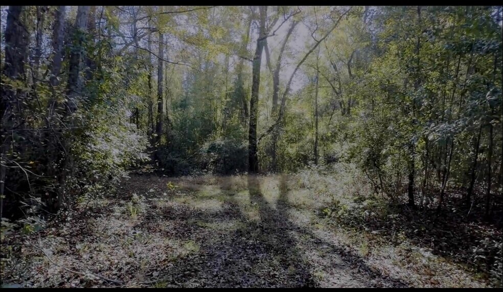 3382 Silver Bluff Rd, Aiken, SC à vendre - Photo de l’immeuble – Image 3 sur 7