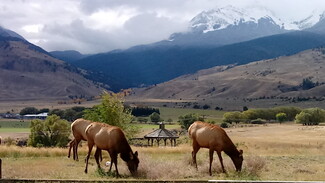 Plus de détails pour 4 Maiden Basin Dr, Gardiner, MT - Hôtellerie à vendre