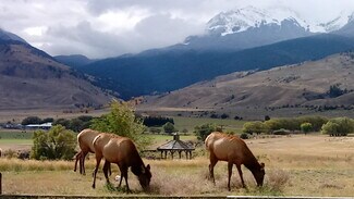 Plus de détails pour 4 Maiden Basin Dr, Gardiner, MT - Hôtellerie à vendre