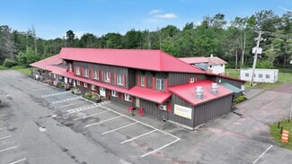 Plus de détails pour 4741 Route 220, Muncy Valley, PA - Local commercial à vendre