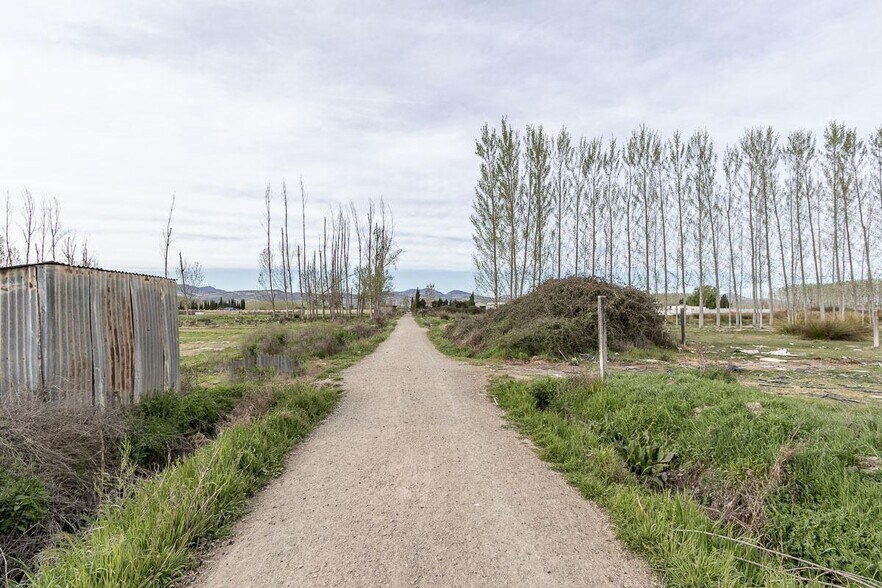 Fogariles, Fuente Vaqueros, Granada à vendre - Photo de l’immeuble – Image 2 sur 12