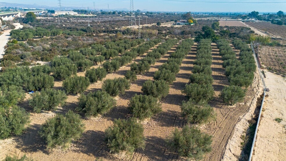 Parcela, 16, Crevillent, Alicante à vendre - Aérien – Image 3 sur 7