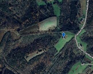 Plus de détails pour 2889 Tea Run Rd, Ewing, KY - Terrain à vendre