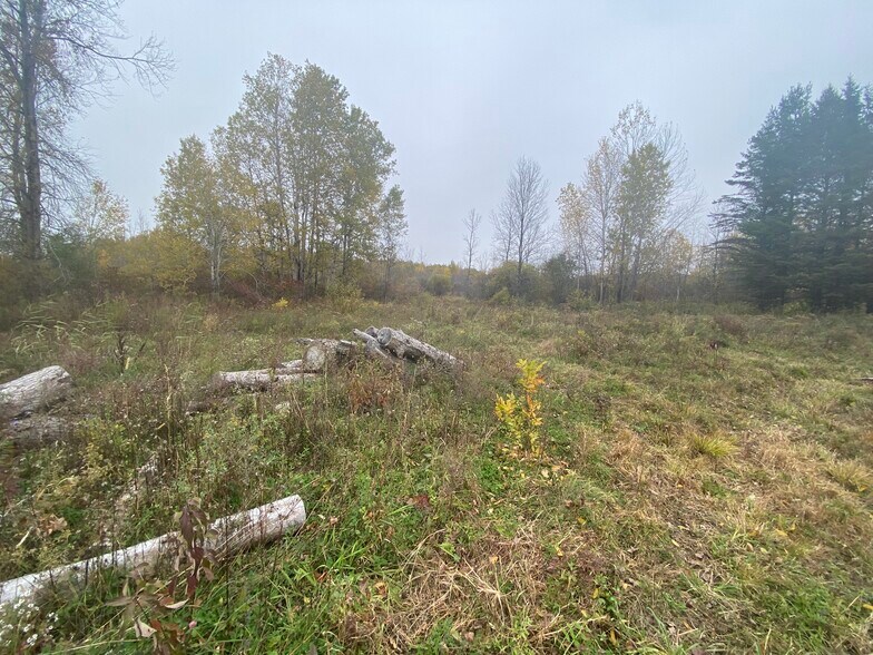 Caughdenoy Rd, Clay, NY à vendre - Photo principale – Image 1 sur 22