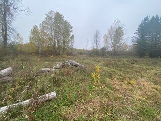 Plus de détails pour Caughdenoy Rd, Clay, NY - Terrain à vendre