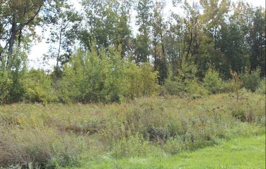 0 N Comrie Ave, Johnstown, NY à vendre - Photo de l’immeuble – Image 2 sur 9