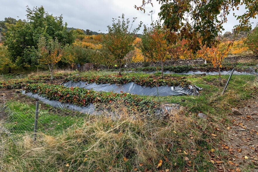 Terrain dans Güéjar Sierra, Granada à vendre - Photo de l’immeuble – Image 3 sur 25