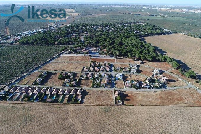 Terrain dans Bollullos de la Mitación, Sevilla à vendre - Photo de l’immeuble – Image 3 sur 10