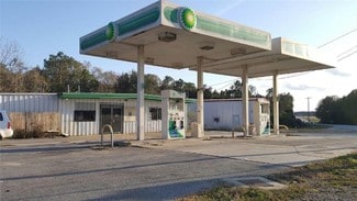 Plus de détails pour 12626 Us Highway 221, Soperton, GA - Local commercial à vendre