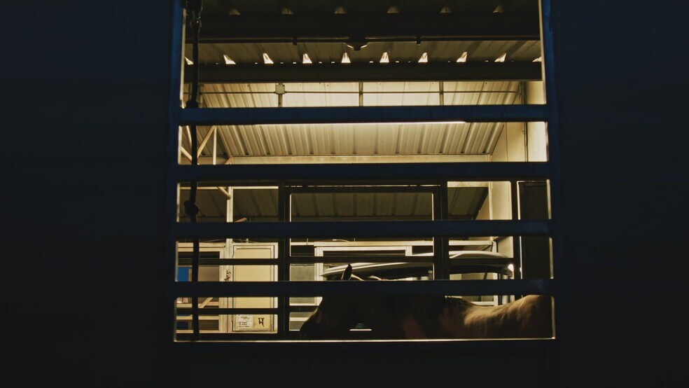 9525 E Graf Ln, Tucson, AZ à vendre - Vidéo sur l’annonce professionnelle – Image 2 sur 24