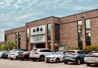 Plus de détails pour 710 Oakfield Dr, Brandon, FL - Bureau, Bureau/Local commercial à louer