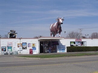 Plus de détails pour 979 S Ecorse Rd, Ypsilanti, MI - Local commercial à louer